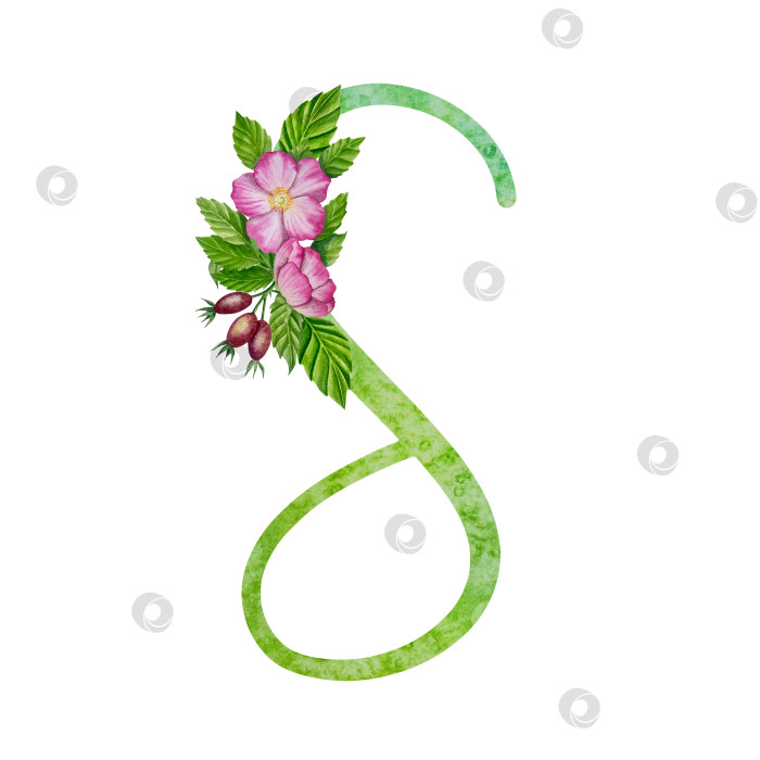 Скачать Алфавит, набор цветочных букв с акварельной росписью цветов, роз и листьев. Изолированные монограммы-инициалы идеально подходят для свадебных приглашений, поздравительных открыток, логотипов, плакатов и прочего. Праздничный дизайн. фотосток Ozero