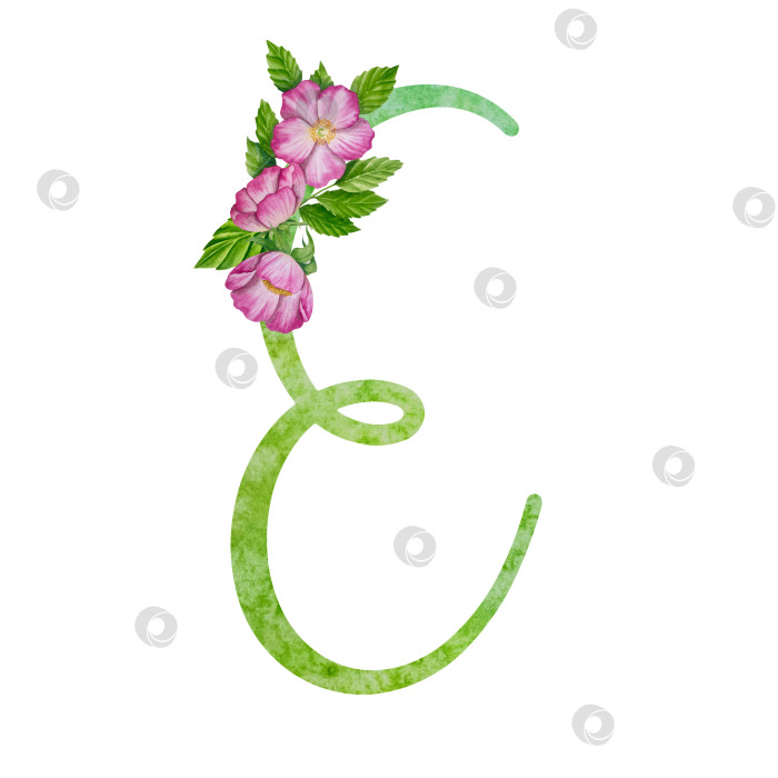 Скачать Алфавит, цветочный набор букв с акварельной росписью цветов, роз и листьев. Изолированные монограммы-инициалы идеально подходят для свадебных приглашений, поздравительных открыток, логотипов, плакатов и прочего. Праздничный дизайн. фотосток Ozero