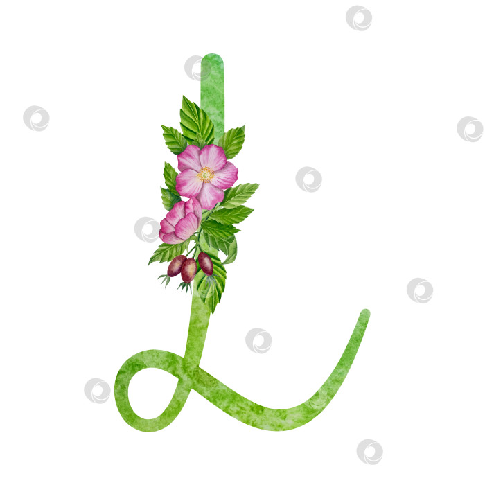 Скачать Алфавит, цветочный набор букв с акварельной росписью цветов, роз и листьев. Изолированные монограммы-инициалы идеально подходят для свадебных приглашений, поздравительных открыток, логотипов, плакатов и прочего. Праздничный дизайн. фотосток Ozero