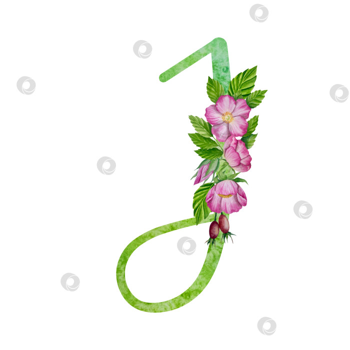 Скачать Алфавит, цветочный набор букв с акварельной росписью цветов, роз и листьев. Изолированные монограммы-инициалы идеально подходят для свадебных приглашений, поздравительных открыток, логотипов, плакатов и прочего. Праздничный дизайн. фотосток Ozero