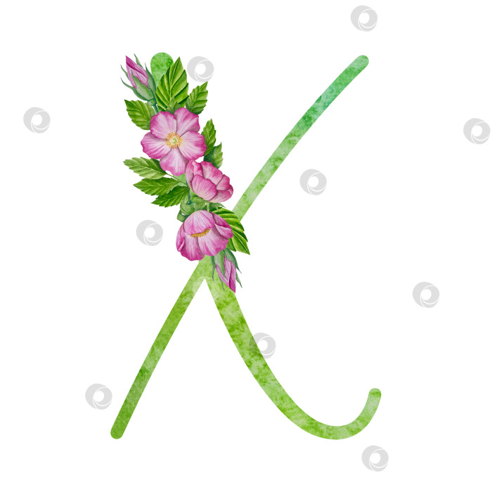 Скачать Алфавит, набор цветочных букв с акварельной росписью цветов, роз и листьев. Изолированные монограммы-инициалы идеально подходят для свадебных приглашений, поздравительных открыток, логотипов, плакатов и прочего. Праздничный дизайн. фотосток Ozero