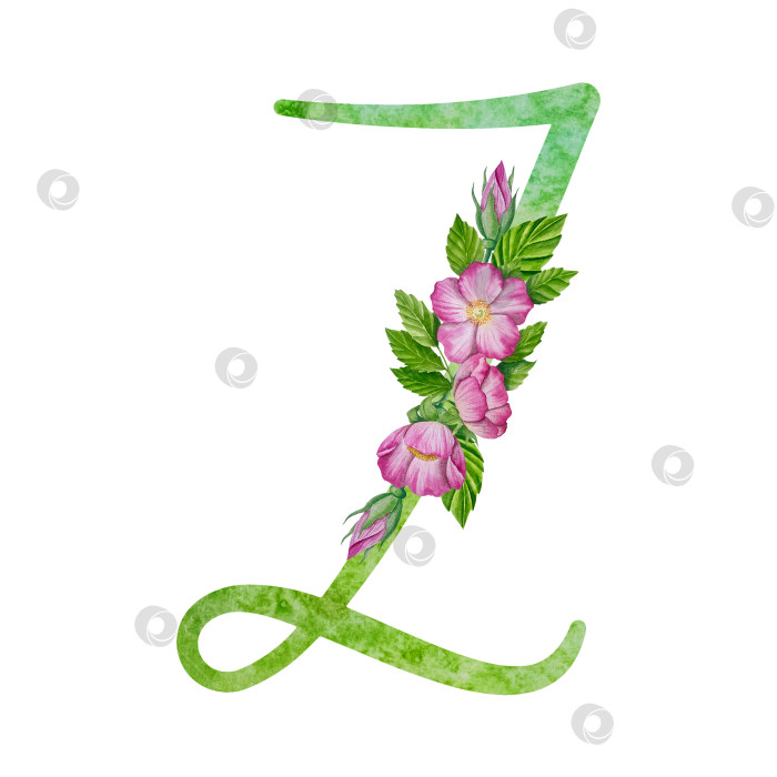 Скачать Алфавит, цветочный набор букв с акварельной росписью цветов, роз и листьев. Изолированные монограммы-инициалы идеально подходят для свадебных приглашений, поздравительных открыток, логотипов, плакатов и прочего. Праздничный дизайн. фотосток Ozero