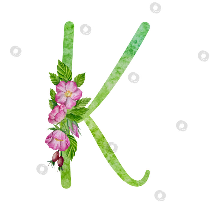 Скачать Алфавит, цветочный набор букв с акварельной росписью цветов, роз и листьев. Изолированные монограммы-инициалы идеально подходят для свадебных приглашений, поздравительных открыток, логотипов, плакатов и прочего. Праздничный дизайн. фотосток Ozero