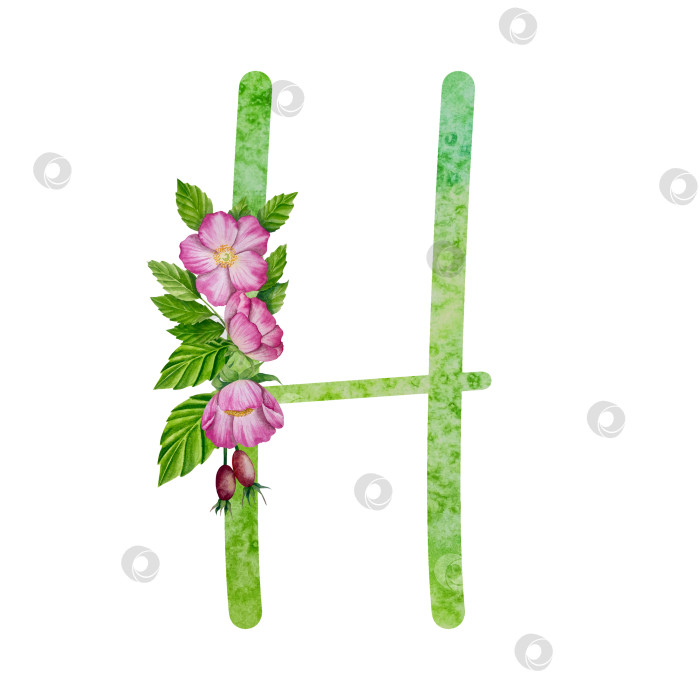 Скачать Алфавит, цветочный набор букв с акварельной росписью цветов, роз и листьев. Изолированные монограммы-инициалы идеально подходят для свадебных приглашений, поздравительных открыток, логотипов, плакатов и прочего. Праздничный дизайн. фотосток Ozero