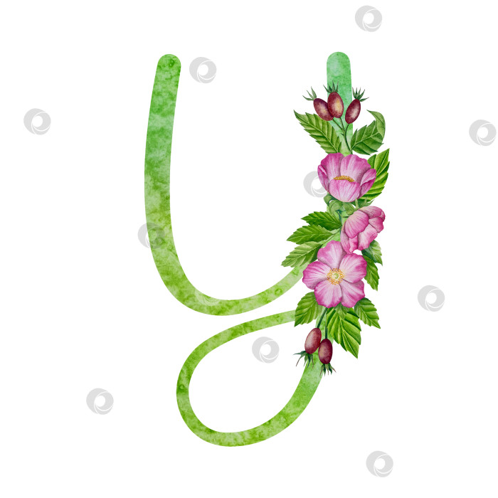Скачать Алфавит, цветочный набор букв с акварельной росписью цветов, роз и листьев. Изолированные монограммы-инициалы идеально подходят для свадебных приглашений, поздравительных открыток, логотипов, плакатов и прочего. Праздничный дизайн. фотосток Ozero