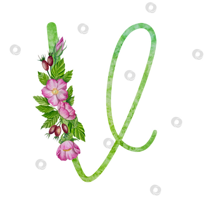 Скачать Алфавит, набор цветочных букв с акварельной росписью цветов, роз и листьев. Изолированные монограммы-инициалы идеально подходят для свадебных приглашений, поздравительных открыток, логотипов, плакатов и прочего. Праздничный дизайн. фотосток Ozero