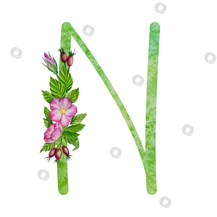 Скачать Алфавит, цветочный набор букв с акварельной росписью цветов, роз и листьев. Изолированные монограммы-инициалы идеально подходят для свадебных приглашений, поздравительных открыток, логотипов, плакатов и прочего. Праздничный дизайн. фотосток Ozero