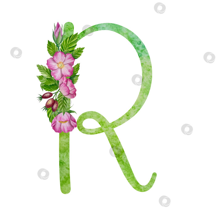 Скачать Алфавит, цветочный набор букв с акварельной росписью цветов, роз и листьев. Изолированные монограммы-инициалы идеально подходят для свадебных приглашений, поздравительных открыток, логотипов, плакатов и прочего. Праздничный дизайн. фотосток Ozero