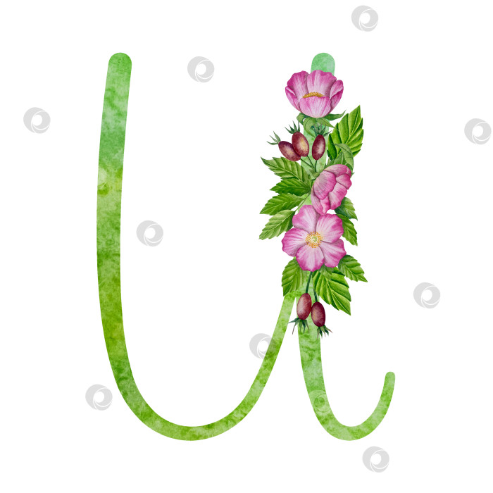 Скачать Алфавит, цветочный набор букв с акварельной росписью цветов, роз и листьев. Изолированные монограммы-инициалы идеально подходят для свадебных приглашений, поздравительных открыток, логотипов, плакатов и прочего. Праздничный дизайн. фотосток Ozero