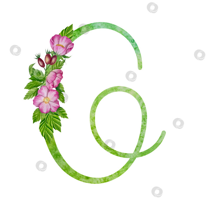 Скачать Алфавит, цветочный набор букв с акварельной росписью цветов, роз и листьев. Изолированные монограммы-инициалы идеально подходят для свадебных приглашений, поздравительных открыток, логотипов, плакатов и прочего. Праздничный дизайн. фотосток Ozero