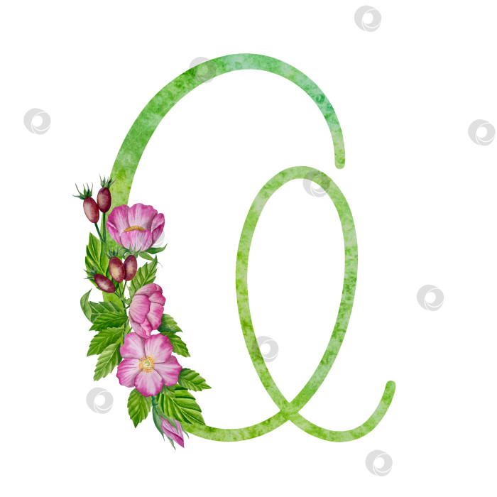 Скачать Алфавит, цветочный набор букв с акварельной росписью цветов, роз и листьев. Изолированные монограммы-инициалы идеально подходят для свадебных приглашений, поздравительных открыток, логотипов, плакатов и прочего. Праздничный дизайн. фотосток Ozero