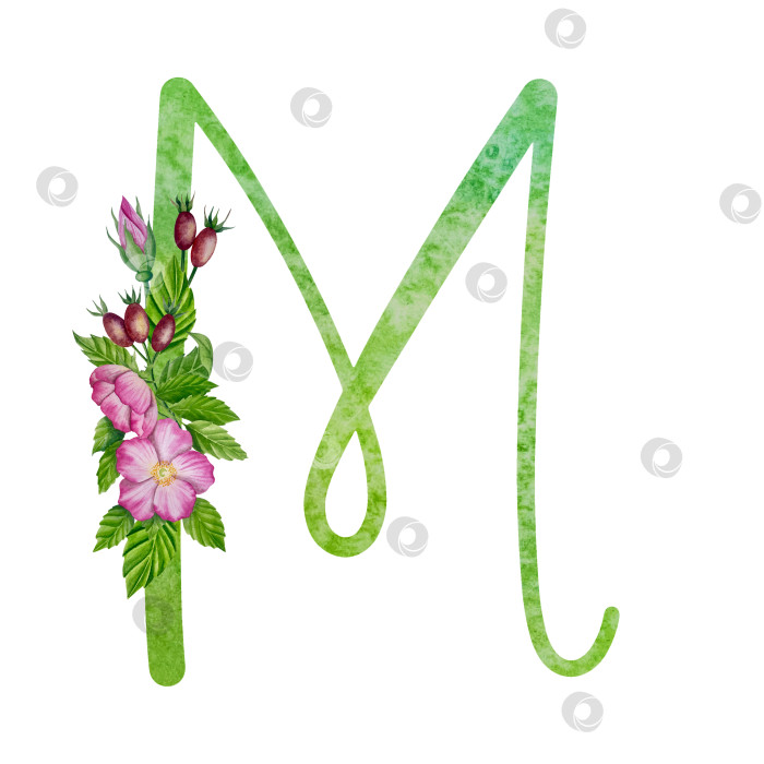 Скачать Алфавит, цветочный набор букв с акварельной росписью цветов, роз и листьев. Изолированные монограммы-инициалы идеально подходят для свадебных приглашений, поздравительных открыток, логотипов, плакатов и прочего. Праздничный дизайн. фотосток Ozero