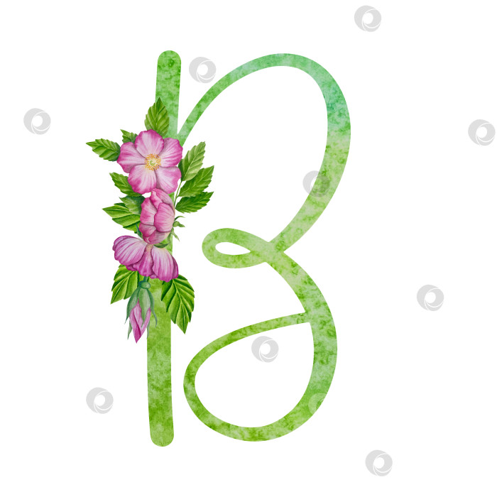Скачать Алфавит, набор цветочных букв с акварельной росписью цветов, роз и листьев. Изолированные монограммы-инициалы идеально подходят для свадебных приглашений, поздравительных открыток, логотипов, плакатов и прочего. Праздничный дизайн. фотосток Ozero