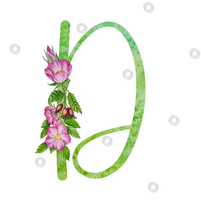 Скачать Алфавит, цветочный набор букв с акварельной росписью цветов, роз и листьев. Изолированные монограммы-инициалы идеально подходят для свадебных приглашений, поздравительных открыток, логотипов, плакатов и прочего. Праздничный дизайн. фотосток Ozero