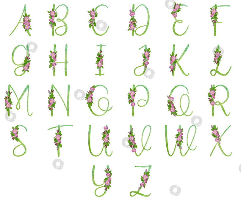 Скачать Алфавит, цветочный набор букв с акварельной росписью цветов, роз и листьев. Изолированные монограммы-инициалы идеально подходят для свадебных приглашений, поздравительных открыток, логотипов, плакатов и прочего. Праздничный дизайн. фотосток Ozero