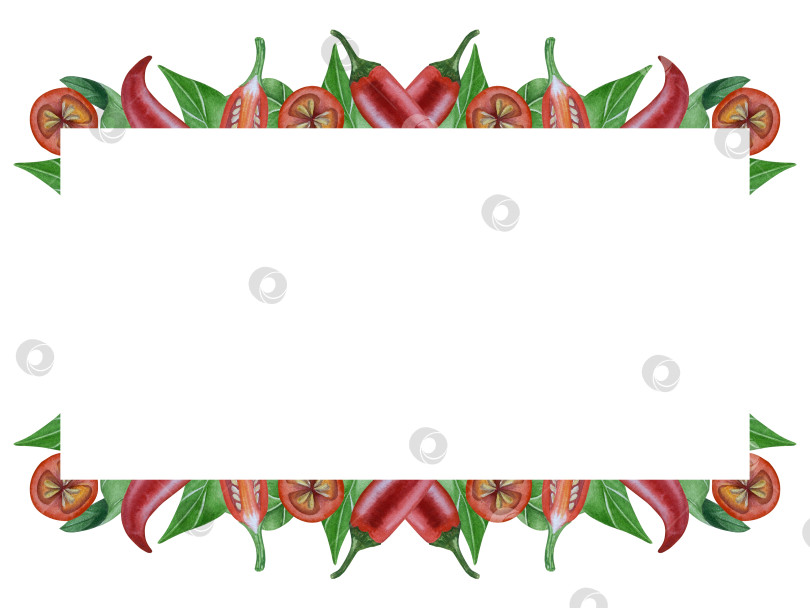 Скачать Целые и нарезанные стручки красного перца чили на белом фоне. Ботаническая акварельная иллюстрация пряных овощей с зелеными листьями, выполненная от руки. Для дизайна упаковки, ресторанного меню, кухни фотосток Ozero