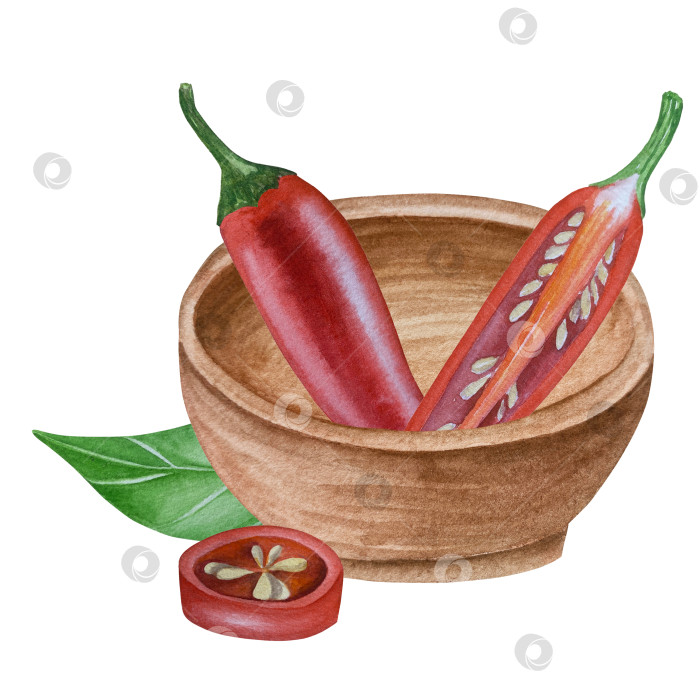 Скачать Целые и нарезанные стручки красного перца чили на белом фоне. Ботаническая акварельная иллюстрация пряных овощей с зелеными листьями, выполненная от руки. Для дизайна упаковки, ресторанного меню, кухни фотосток Ozero