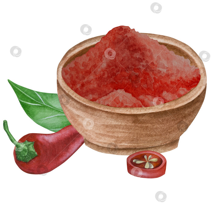 Скачать Целые и нарезанные стручки красного перца чили на белом фоне. Ботаническая акварельная иллюстрация пряных овощей с зелеными листьями, выполненная от руки. Для дизайна упаковки, ресторанного меню, кухни фотосток Ozero