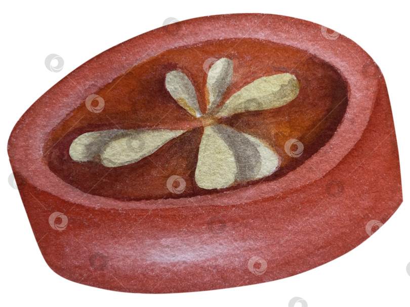 Скачать Целые и нарезанные стручки красного перца чили на белом фоне. Ботаническая акварельная иллюстрация пряных овощей с зелеными листьями, выполненная от руки. Для дизайна упаковки, ресторанного меню, кухни фотосток Ozero
