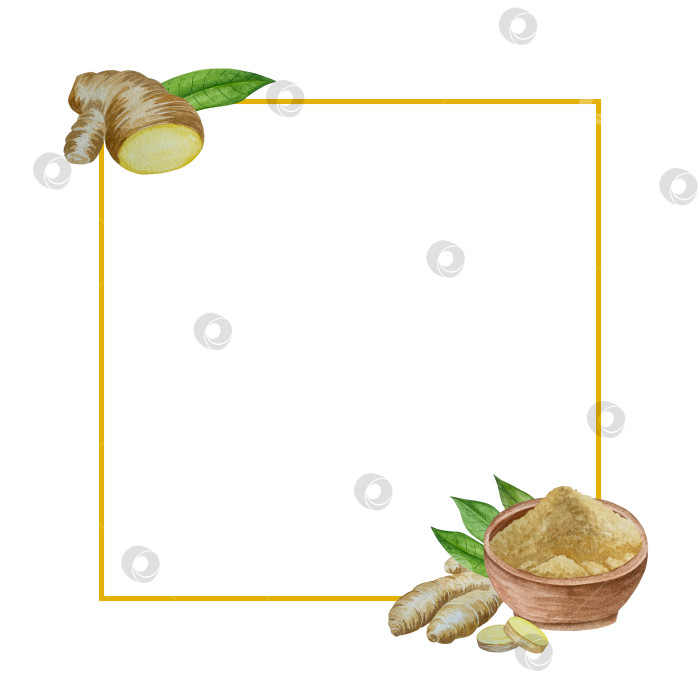 Скачать Акварельная иллюстрация пряного имбиря, половинки, листья и ломтики. Рисованная иллюстрация на белом фоне. Корень имбиря для оформления блюд. Травы и специи для кухни фотосток Ozero