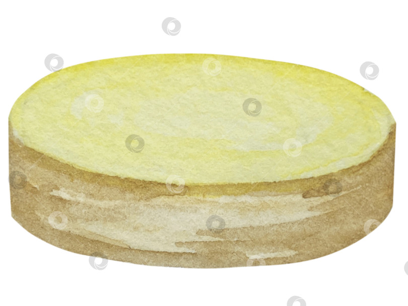 Скачать Акварельная иллюстрация пряного имбиря, половинки, листья и ломтики. Рисованная иллюстрация, выделенная на белом фоне. Корень имбиря для оформления блюд. Кухонные травы и специи фотосток Ozero