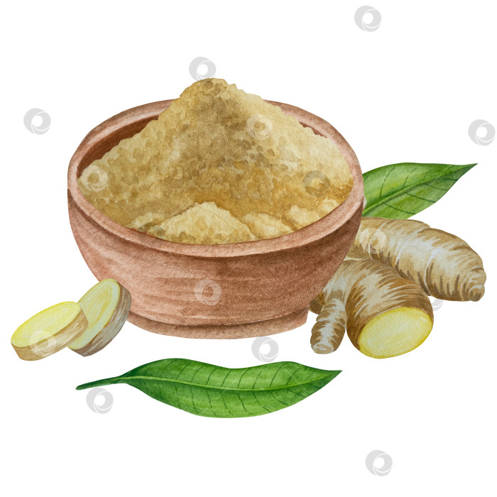 Скачать Акварельная иллюстрация пряного имбиря, половинки, листья и ломтики. Рисованная иллюстрация на белом фоне. Корень имбиря для оформления блюд. Травы и специи для кухни фотосток Ozero