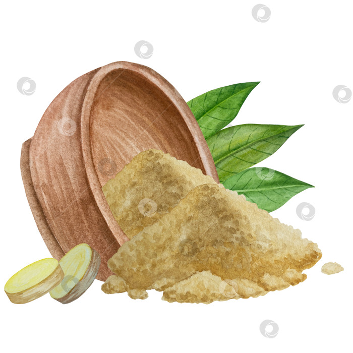 Скачать Акварельная иллюстрация пряного имбиря, половинки, листья и ломтики. Рисованная иллюстрация на белом фоне. Корень имбиря для оформления блюд. Травы и специи для кухни фотосток Ozero