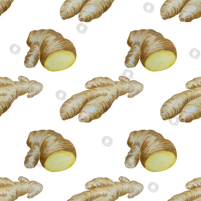 Скачать Акварельная иллюстрация пряного имбиря, половинки, листья и ломтики. Рисованная иллюстрация, выделенная на белом фоне. Корень имбиря для оформления блюд. Кухонные травы и специи фотосток Ozero