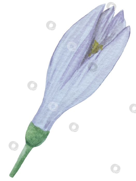 Скачать Акварельный лимонный набор. Половинка, ломтик, зеленый лист, веточка летнего тропического фрукта. Антивирусное полезное питание. Идеально подходит для домашнего декора, изготовления открыток, коктейльной карты. фотосток Ozero