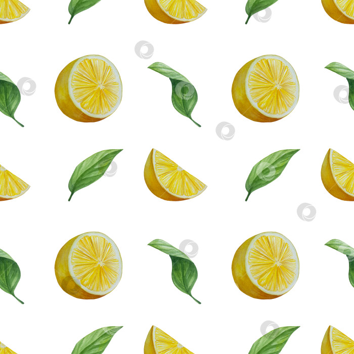 Скачать Акварельный лимонный набор. Половинка, ломтик, зеленый лист, веточка летнего тропического фрукта. Антивирусное полезное питание. Идеально подходит для домашнего декора, изготовления открыток, коктейльной карты. фотосток Ozero