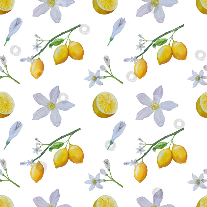 Скачать Акварельный лимонный набор. Половинка, ломтик, зеленый лист, веточка летнего тропического фрукта. Антивирусное полезное питание. Идеально подходит для домашнего декора, изготовления открыток, коктейльной карты. фотосток Ozero