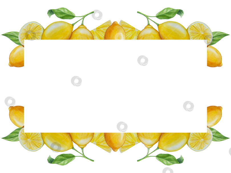 Скачать Акварельный лимонный набор. Половинка, ломтик, зеленый лист, веточка летнего тропического фрукта. Антивирусное полезное питание. Идеально подходит для домашнего декора, изготовления открыток, коктейльной карты. фотосток Ozero
