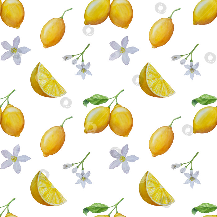 Скачать Акварельный лимонный набор. Половинка, ломтик, зеленый лист, веточка летнего тропического фрукта. Антивирусное полезное питание. Идеально подходит для домашнего декора, изготовления открыток, коктейльной карты. фотосток Ozero