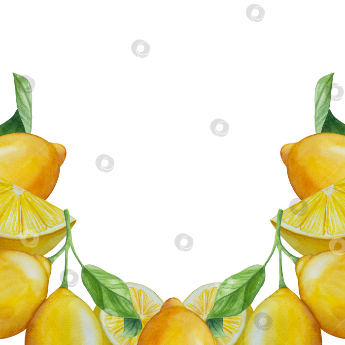 Скачать Акварельный лимонный набор. Половинка, ломтик, зеленый лист, веточка летнего тропического фрукта. Антивирусное полезное питание. Идеально подходит для домашнего декора, изготовления открыток, коктейльной карты. фотосток Ozero