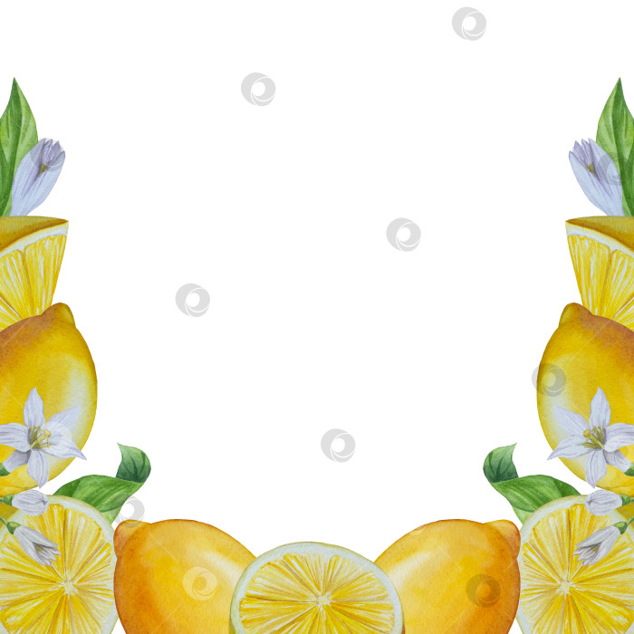 Скачать Акварельный лимонный набор. Половинка, ломтик, зеленый лист, веточка летнего тропического фрукта. Антивирусное полезное питание. Идеально подходит для домашнего декора, изготовления открыток, коктейльной карты. фотосток Ozero