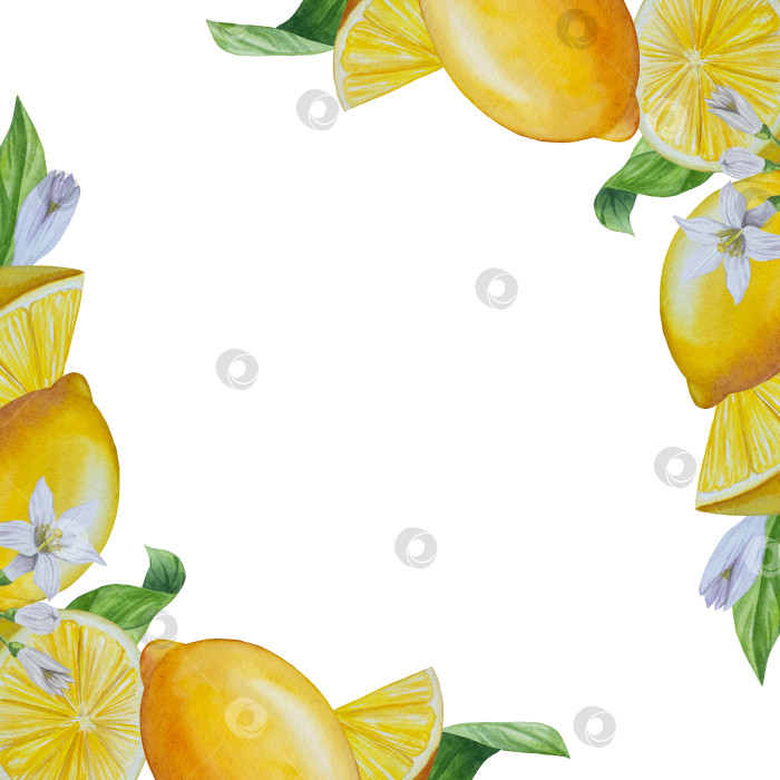 Скачать Акварельный лимонный набор. Половинка, ломтик, зеленый лист, веточка летнего тропического фрукта. Антивирусное полезное питание. Идеально подходит для домашнего декора, изготовления открыток, коктейльной карты. фотосток Ozero