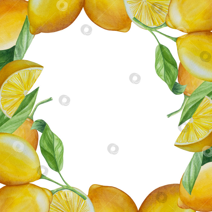 Скачать Акварельный лимонный набор. Половинка, ломтик, зеленый лист, веточка летнего тропического фрукта. Антивирусное полезное питание. Идеально подходит для домашнего декора, изготовления открыток, коктейльной карты. фотосток Ozero