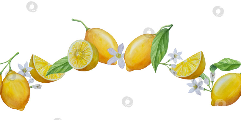 Скачать Акварельный лимонный набор. Половинка, ломтик, зеленый лист, веточка летнего тропического фрукта. Антивирусное полезное питание. Идеально подходит для домашнего декора, изготовления открыток, коктейльной карты. фотосток Ozero