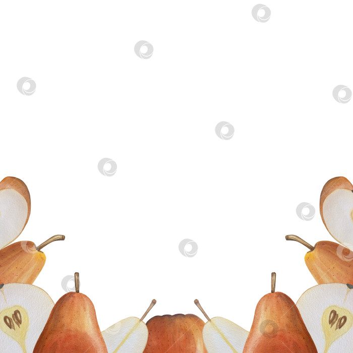 Скачать Акварельная иллюстрация "Сладкие груши", фрукты на изолированном фоне, ботанический рисунок. Спелая желтая груша с листьями и цветами фотосток Ozero