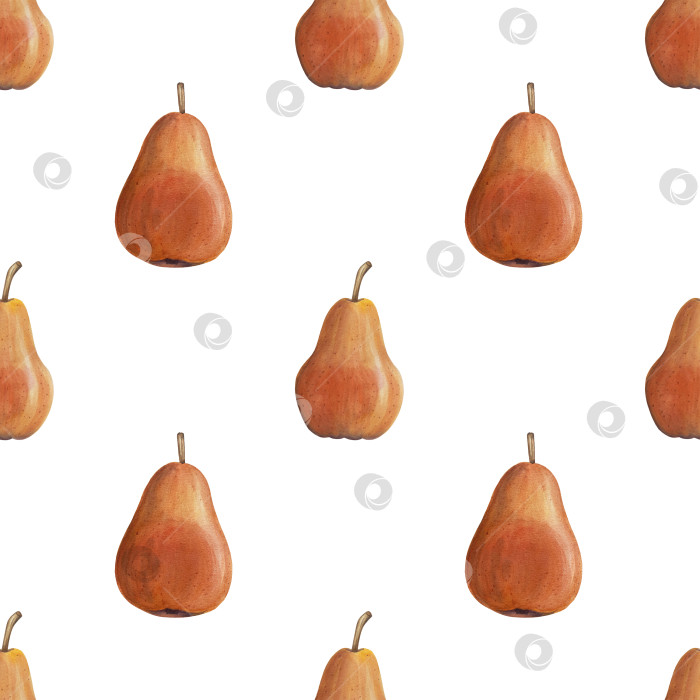 Скачать Акварельная иллюстрация "Сладкие груши", фрукты на изолированном фоне, ботаническая роспись. Спелая желтая груша с листьями и цветами фотосток Ozero