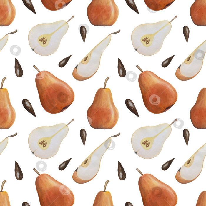 Скачать Акварельная иллюстрация "Сладкие груши", фрукты на изолированном фоне, ботаническая роспись. Спелая желтая груша с листьями и цветами фотосток Ozero