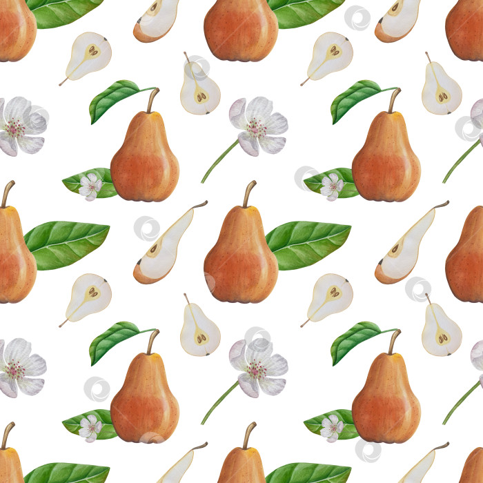 Скачать Акварельная иллюстрация "Сладкие груши", фрукты на изолированном фоне, ботаническая роспись. Спелая желтая груша с листьями и цветами фотосток Ozero
