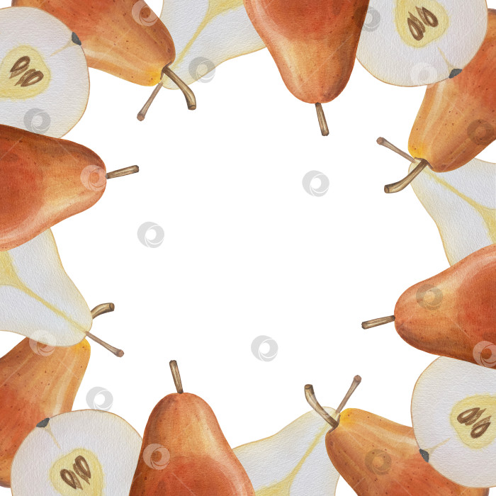 Скачать Акварельная иллюстрация "Сладкие груши", фрукты на изолированном фоне, ботаническая роспись. Спелая желтая груша с листьями и цветами фотосток Ozero