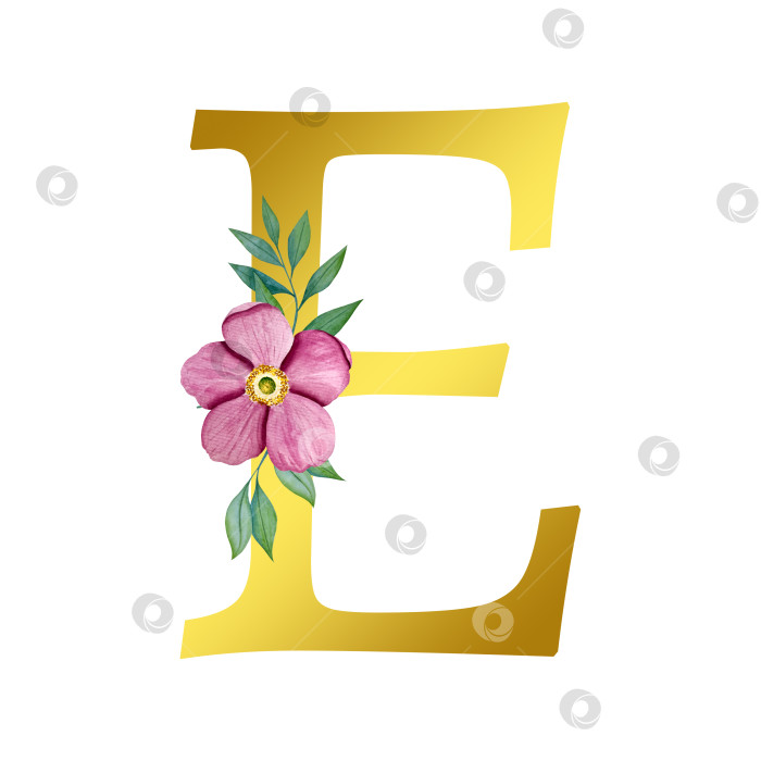 Скачать Ручная акварельная иллюстрация с цветами анемоны и листьями эвкалипта. Рамка из чешского золота и хрусталя. Элементы для поздравительной свадебной открытки. фотосток Ozero