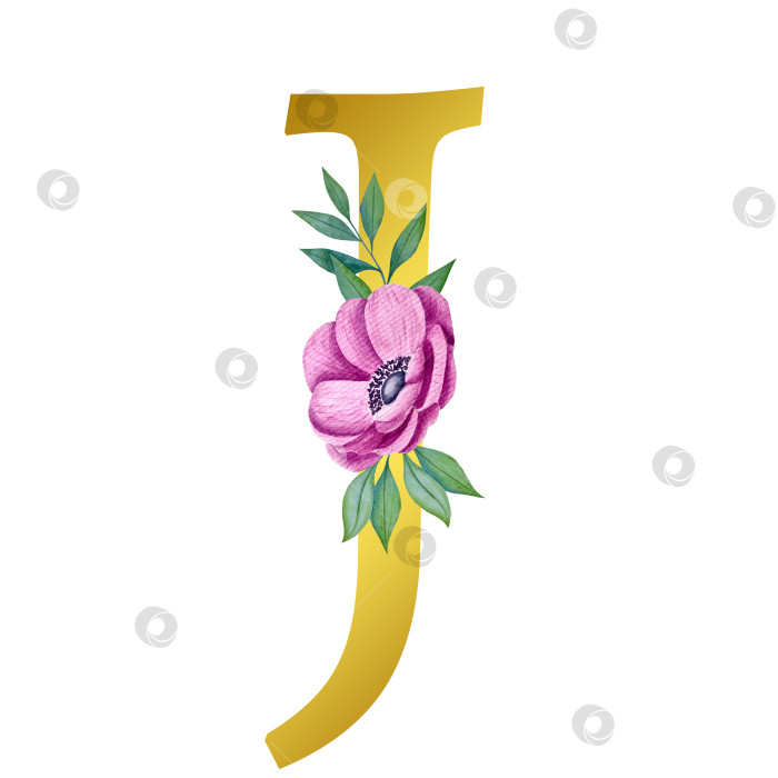 Скачать Ручная акварельная иллюстрация с цветами анемоны и листьями эвкалипта. Рамка из чешского золота и хрусталя. Элементы для поздравительной свадебной открытки. фотосток Ozero