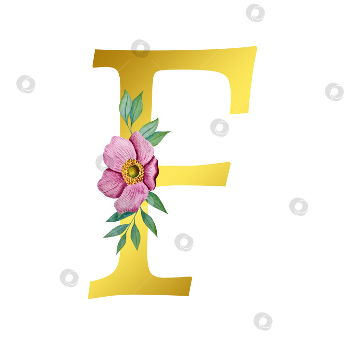 Скачать Ручная акварельная иллюстрация с цветами анемоны и листьями эвкалипта. Рамка из чешского золота и хрусталя. Элементы для поздравительной свадебной открытки. фотосток Ozero