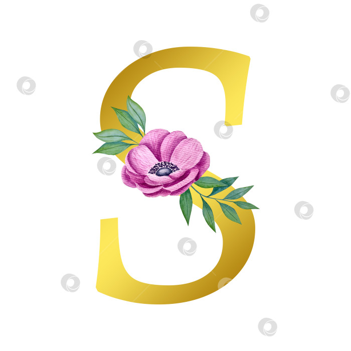 Скачать Ручная акварельная иллюстрация с цветами анемоны и листьями эвкалипта. Рамка из чешского золота и хрусталя. Элементы для поздравительной свадебной открытки. фотосток Ozero