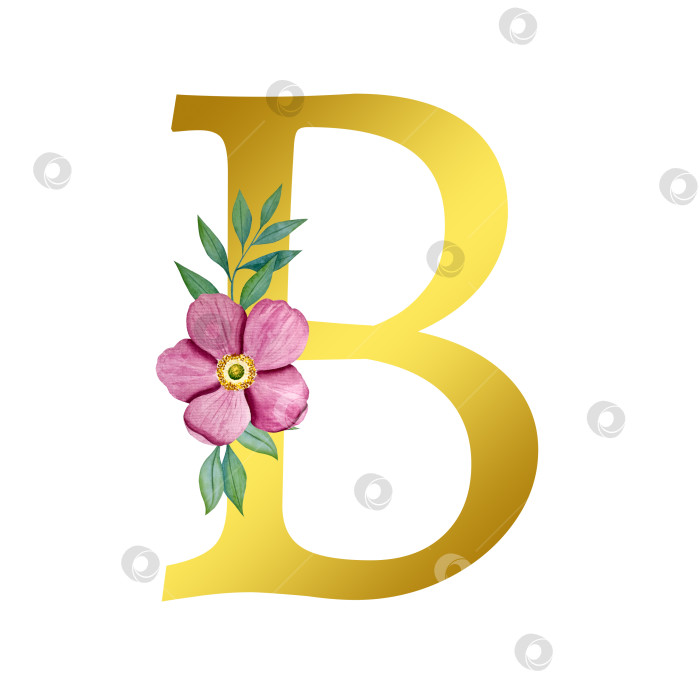 Скачать Ручная акварельная иллюстрация с цветами анемоны и листьями эвкалипта. Рамка из чешского золота и хрусталя. Элементы для поздравительной открытки на свадьбу. фотосток Ozero