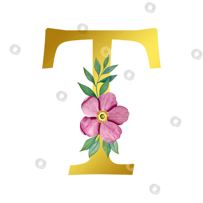 Скачать Ручная акварельная иллюстрация с цветами анемоны и листьями эвкалипта. Рамка из чешского золота и хрусталя. Элементы для поздравительной открытки на свадьбу. фотосток Ozero