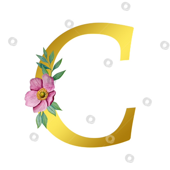 Скачать Ручная акварельная иллюстрация с цветами анемоны и листьями эвкалипта. Рамка из чешского золота и хрусталя. Элементы для поздравительной свадебной открытки. фотосток Ozero